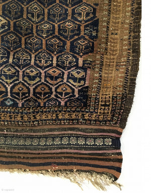 5'5" X 3'4" 19th Century Baluch Rug