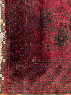 11’10” x 8’8” Afghanistan Ersari Main Rug