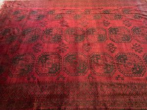 11’10” x 8’8” Afghanistan Ersari Main Rug