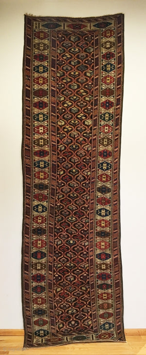 10'5" X 3'4" Daghestan Runner