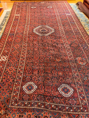 16'9" X 7'5" Ersari Bashir Long Rug [103]