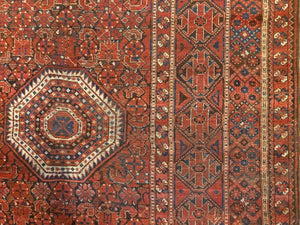 16'9" X 7'5" Ersari Bashir Long Rug [103]