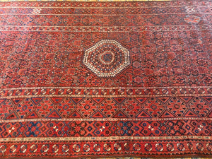 16'9" X 7'5" Ersari Bashir Long Rug [103]