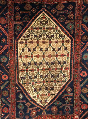 6'3" X 4'2" Kolyai Shirshekeri Kurd Rug