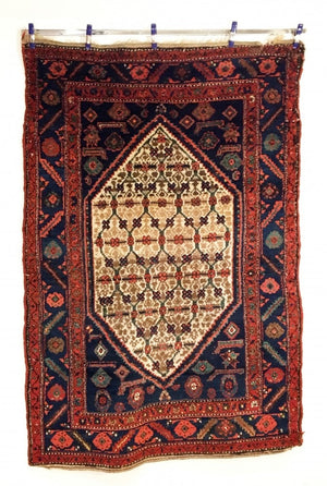 6'3" X 4'2" Kolyai Shirshekeri Kurd Rug