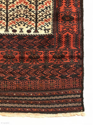 5’6” X 3’0” Sangtschuli Baluch Rug