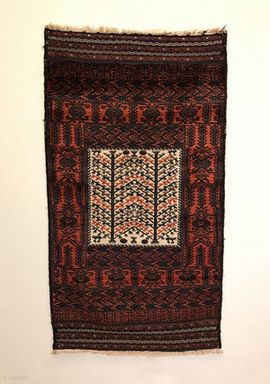 5’6” X 3’0” Sangtschuli Baluch Rug