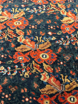 5'8" X 4'5" Stunning Afshar Rug